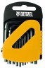25 pc. Hex key set, combinated // Denzel